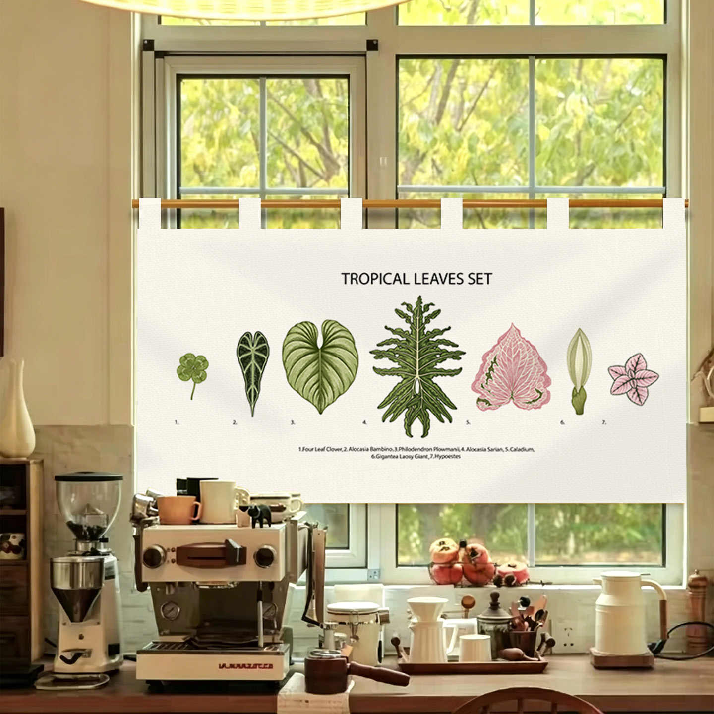 VIKAMA Vintage Hand Drawn Nore – Commercial Window Printing Bewertung und Preis